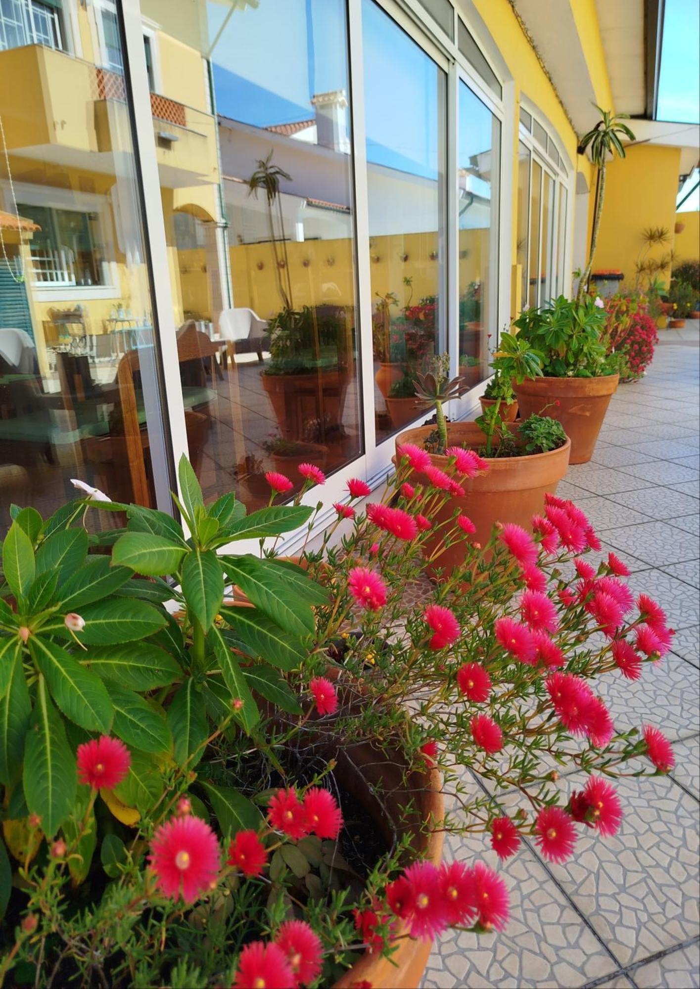 A Casa Da Ti Laura - Al Hotel Aveiro Ngoại thất bức ảnh